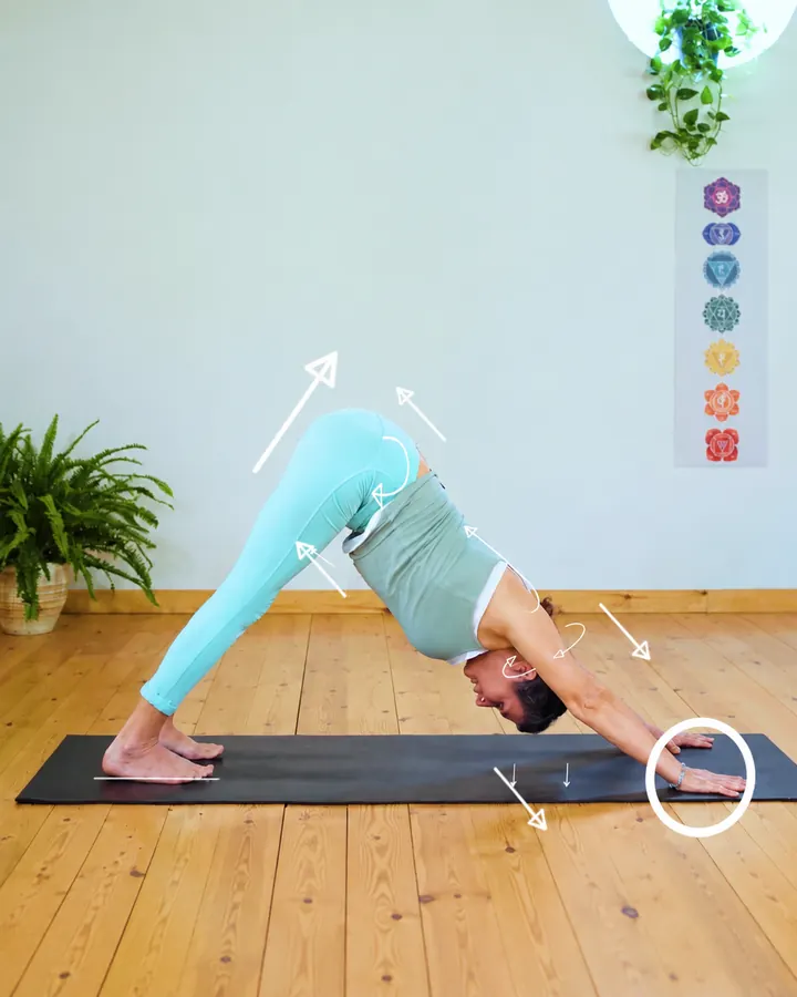 Adho Mukha Svanasana con indicaciones de alineación